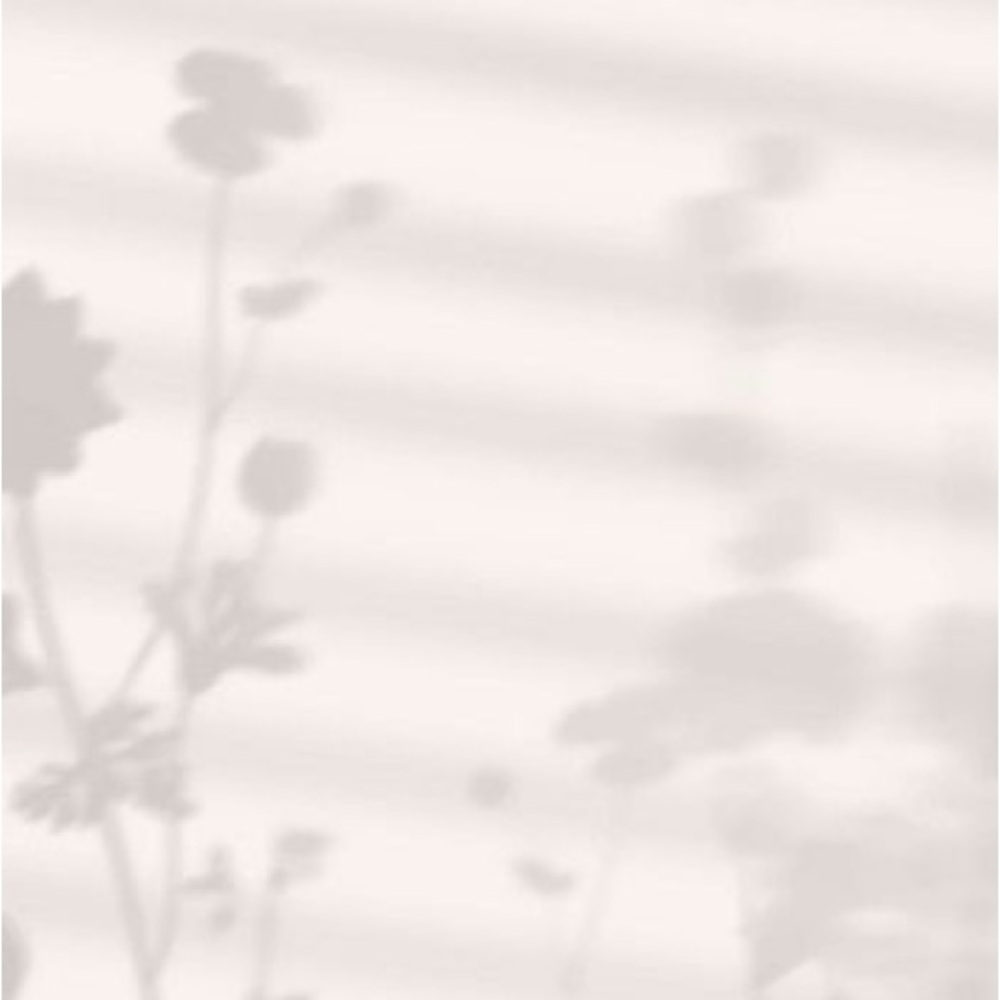 Meet your Posher, Chic